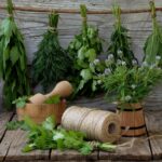 Пряные травы и зелень, которые можно сеять под зиму для раннего урожая