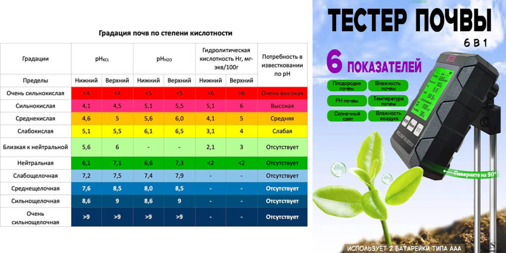 Растения-индикаторы почвы