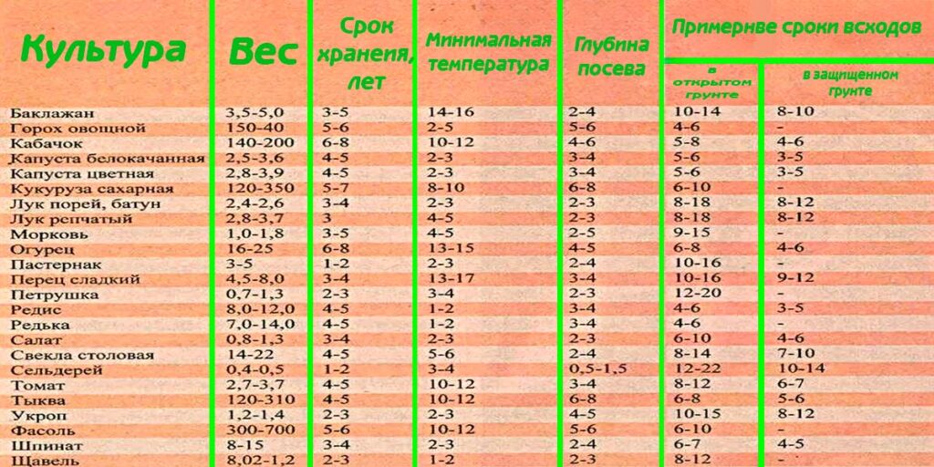 Какой срок годности у семян