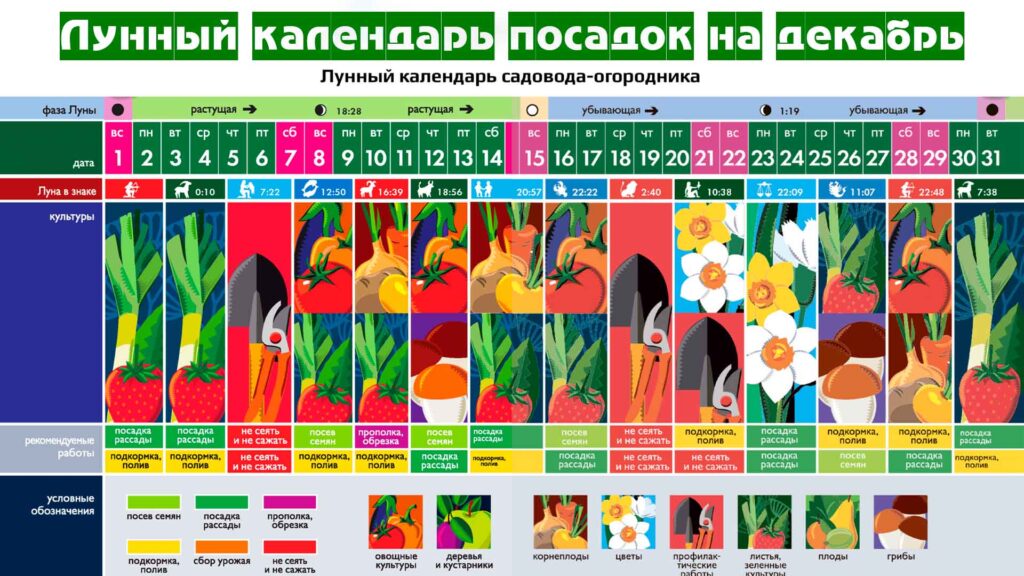 Лунный календарь посадок на декабрь